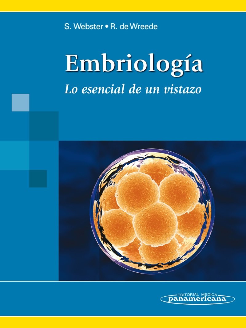 Embriologia: Lo esencial de un vistazo