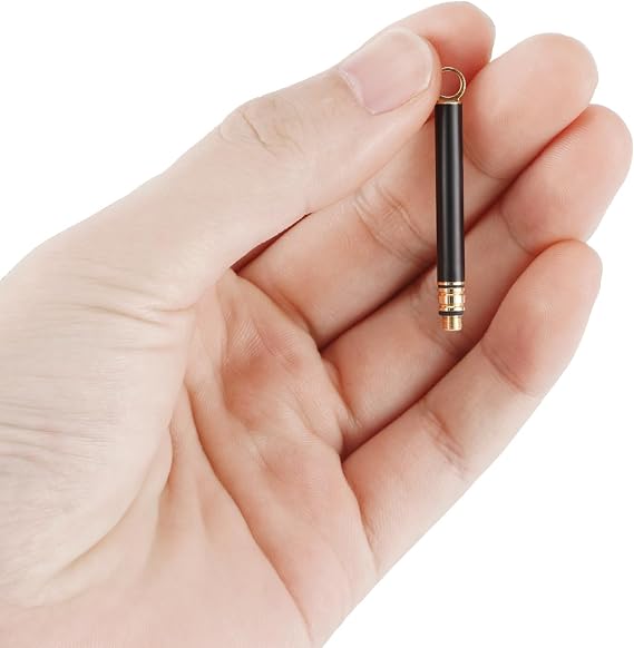 Titanium Toothpick Holder, Portable 3 PCS Metal Toothpicks for Teeth, Mini Reusable Stainless Steel Toothpick Pocket Toothpicks for Home Outdoor,Black