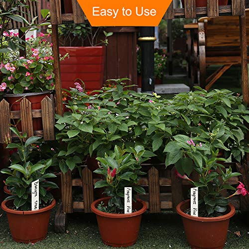 [Excellent] 100Pcs Plant Labels For Outdoor Garden, Plant Markers For Garden Waterproof, Plant Tags For Gardeners,White #TOP4