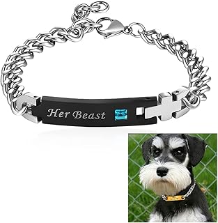 Z23Z Dog Collar, Titanium Steel, Lost Pill, For Small Dogs, Medium Dogs, Cats, Lazy Tag Necklace with Laser Engraved Chain for Pet Name and Contact, Phone Number (A-E) (XS-XXL) (XXL, E)