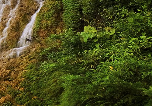 Schilderij Waterval - Gratis verzending en een snelle levering