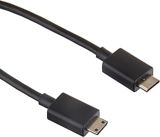 DJI R Mini-HDMI to Mini-HDMI Cable (20 cm)