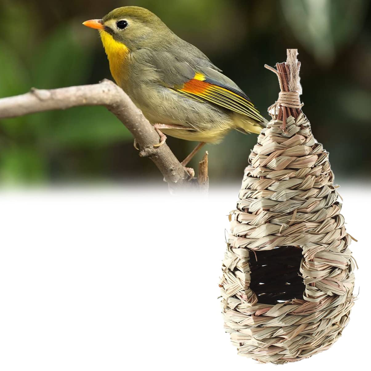 VANZACK 6 Piezas Nido De Cría De Pájaros Casa De Pájaros Colgante Nidos De Pájaros para Manualidades Nido De Pájaros Al Aire Libre Cabaña De Pájaros Colgante Casas De Pájaros para