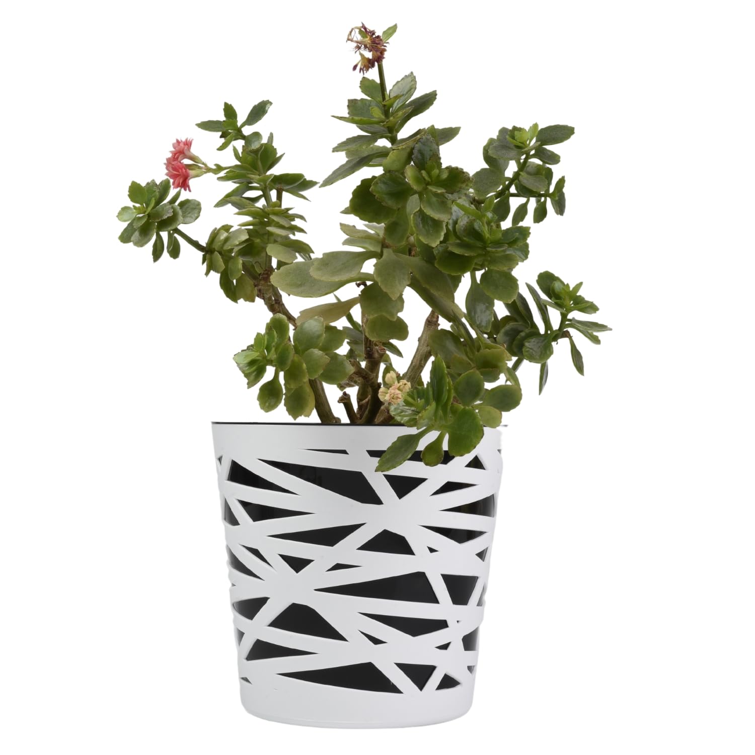 B2C Flowerpot plant pot planter Crystal Modern Decorative Daizy 7 colours 4 sizes (15cm, Black)