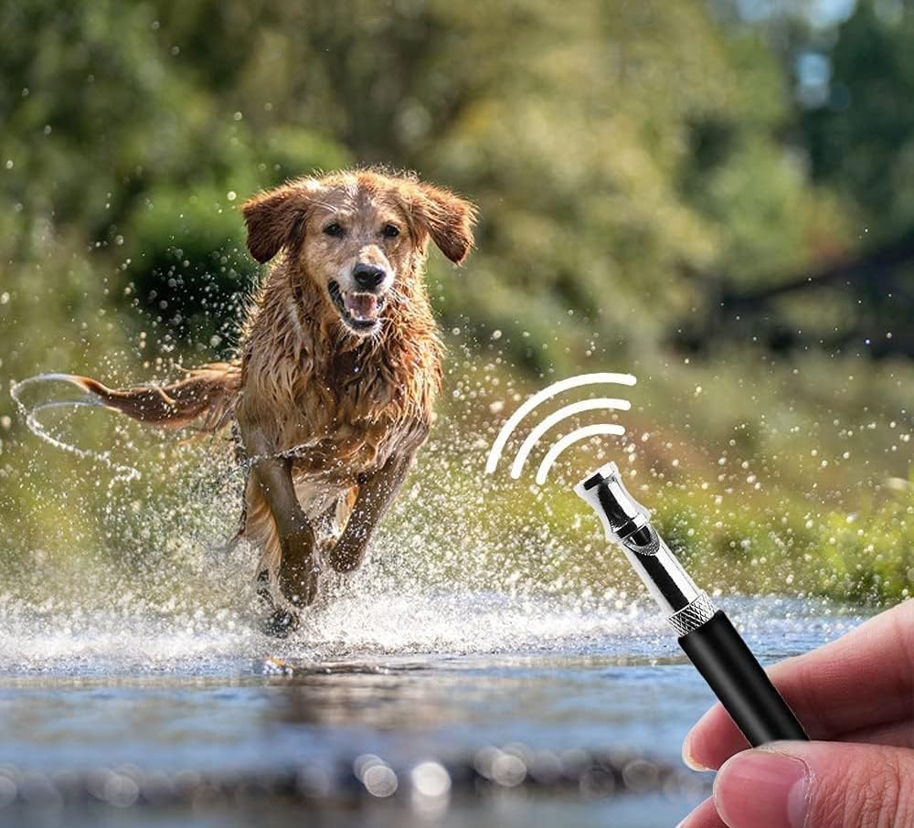 2 Pièces Sifflet Ultrason Chien Sifflet Ultrason Chien Anti Aboiement Livré Avec Lanière Sifflet Anti Aboeement Chien Voisin Adapté Au Dressage Canin Sifflet Anti Aboiement Chien Sifflet Ultra