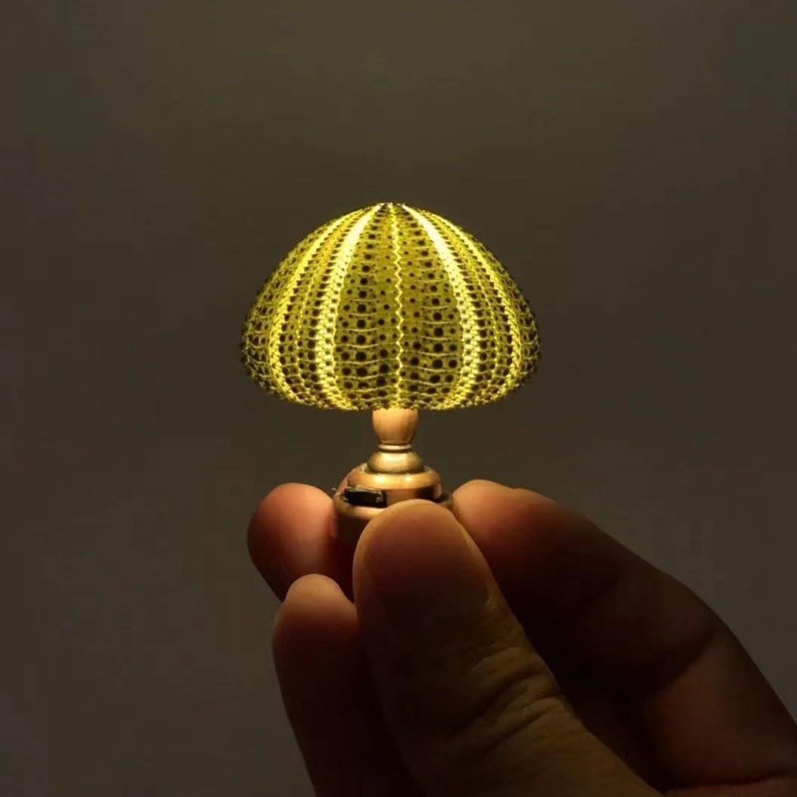 Constellation Lights for Bedroom Sea Urchin Night Light Funny Beach Theme Night Light Animal Night Light Bedside Lamp Models Mini Retro Sea Urchin Night Light Baby Night Light Newborn (C, One Size)