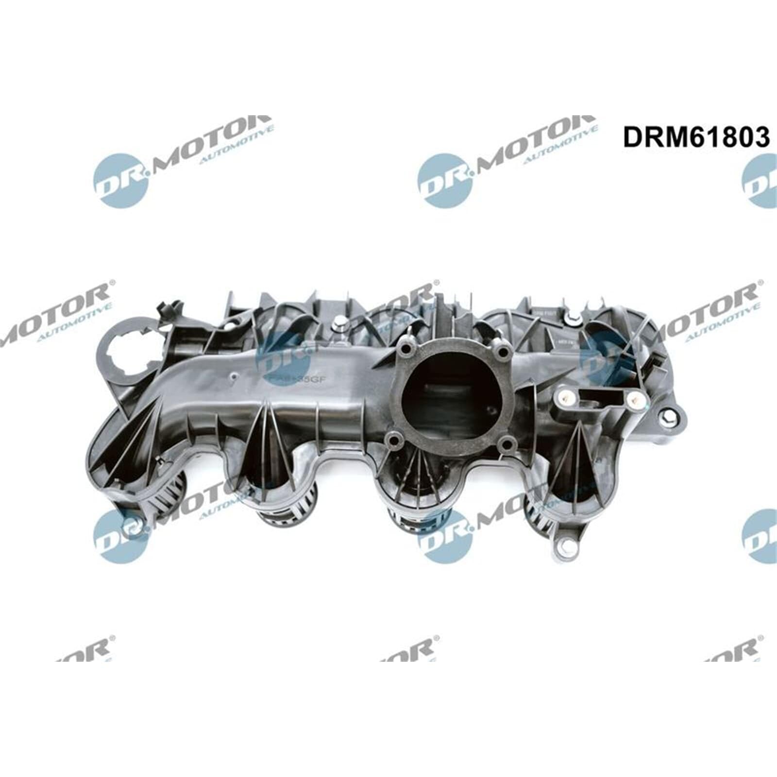 DR.MOTOR AUTOMOTIVE DRM61803 Collettore di aspirazione con guarnizioni | Compatibile con: CITROËN C5 II, C5 II Break, C5 III, C5 III Break, C6, C8, C-CROSSER, C-CROSSER ENTERPRISE, JUMPER II Kasten