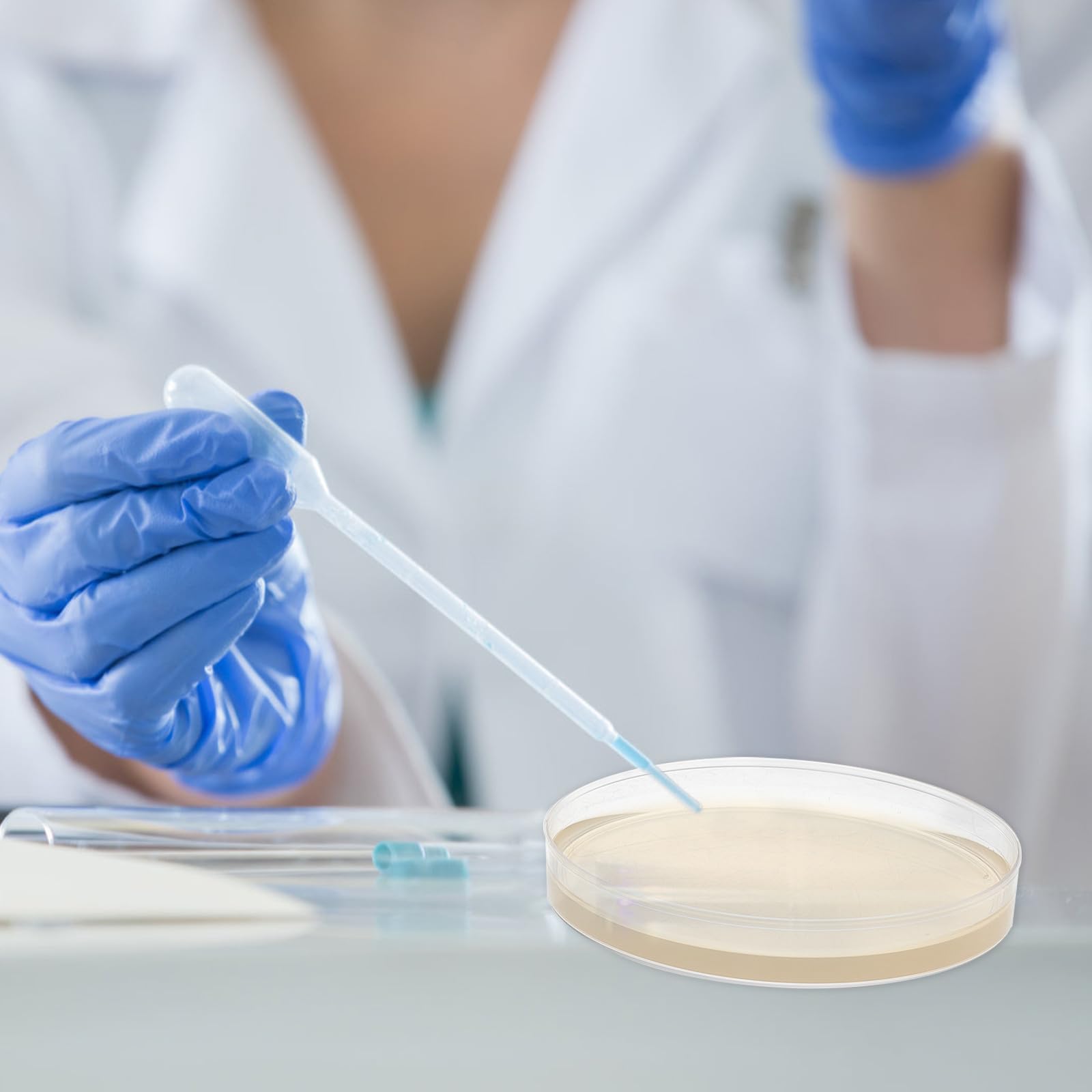 Levemolo Sterile Nähragarplatten 9cm aus Agar und PC Vielseitig für Kulturen 20 Stück für Forschung und Lehre im Laborgebrauch
