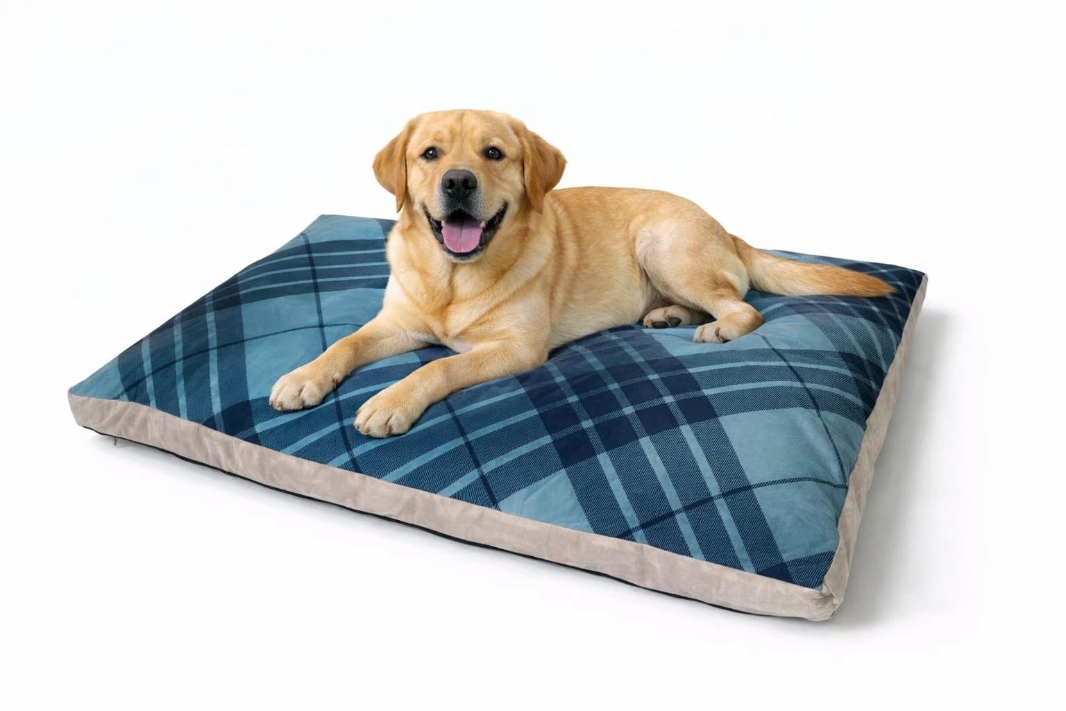 Hometex Box Dog Beds - Tartan (M, Black)