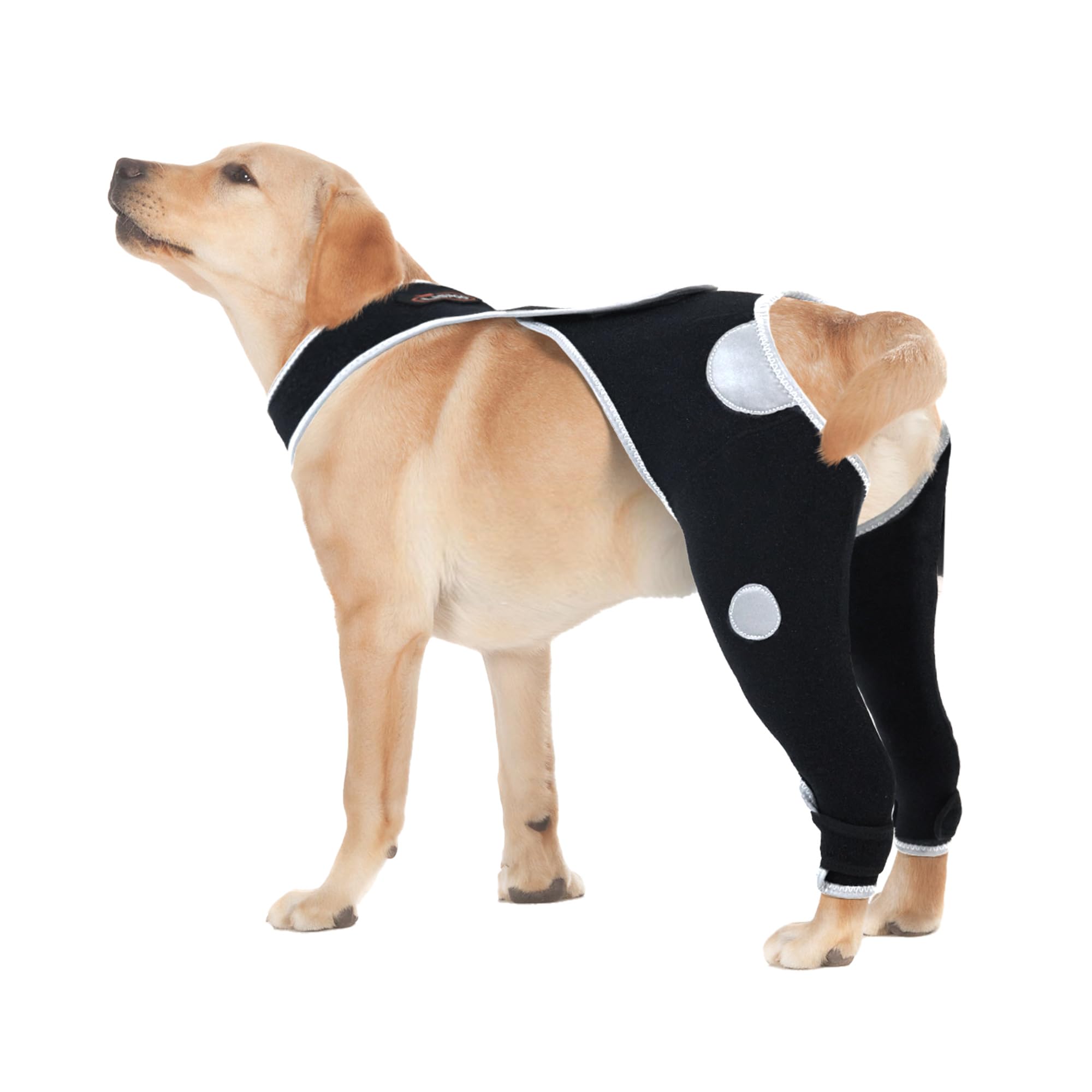 Dog Anti-Licking Leg Sleeve,Rear Leg Protector to Stop Licking,Wound Protection Sleeve for Post-Surgery Recovery,Double Leg