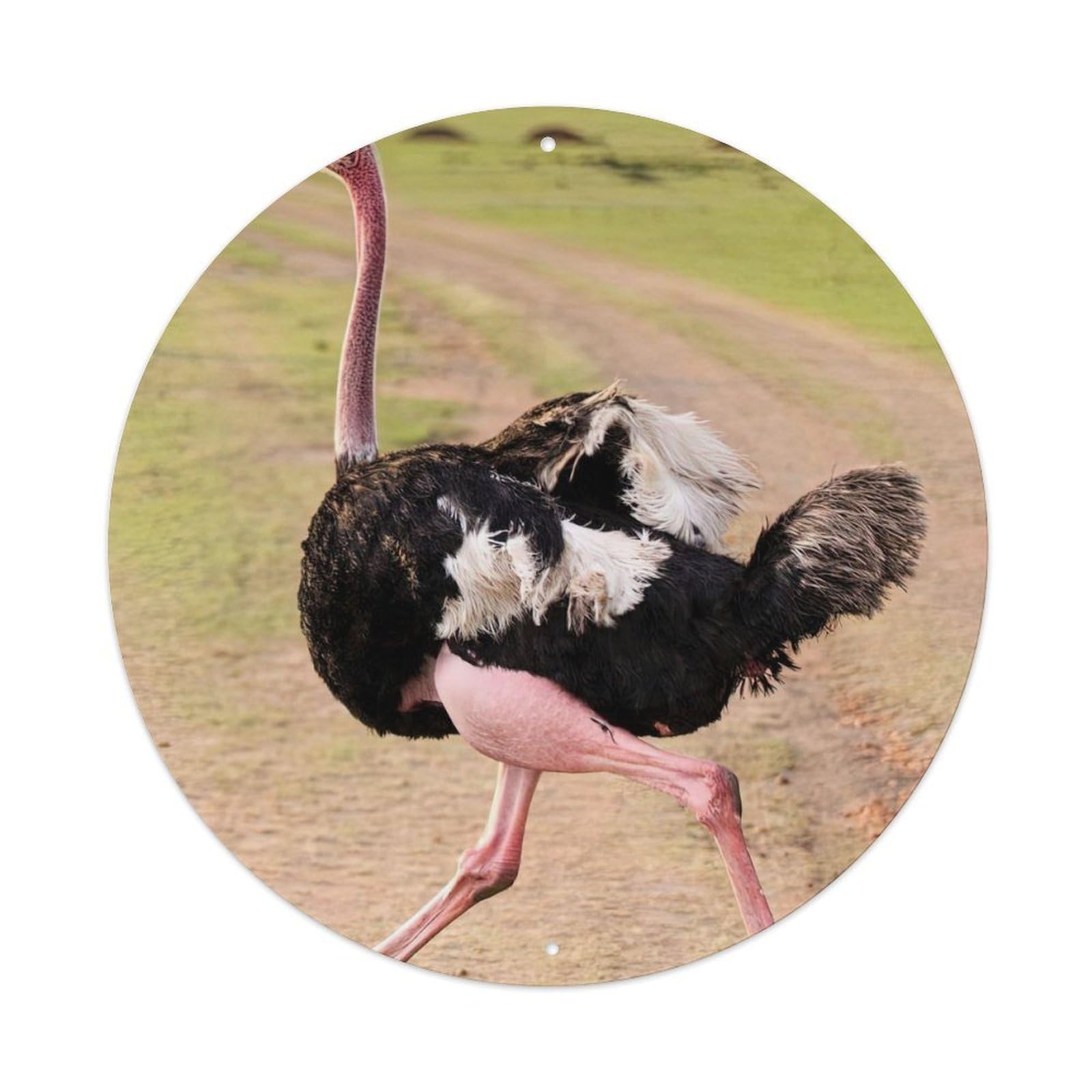 Wildlife Common Ostrich Vintage Metal Tin Sign Plaque Wall Decor for Cafe, Club, Garden Round Metal Poster 8x8Inch