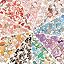 Enamel Color