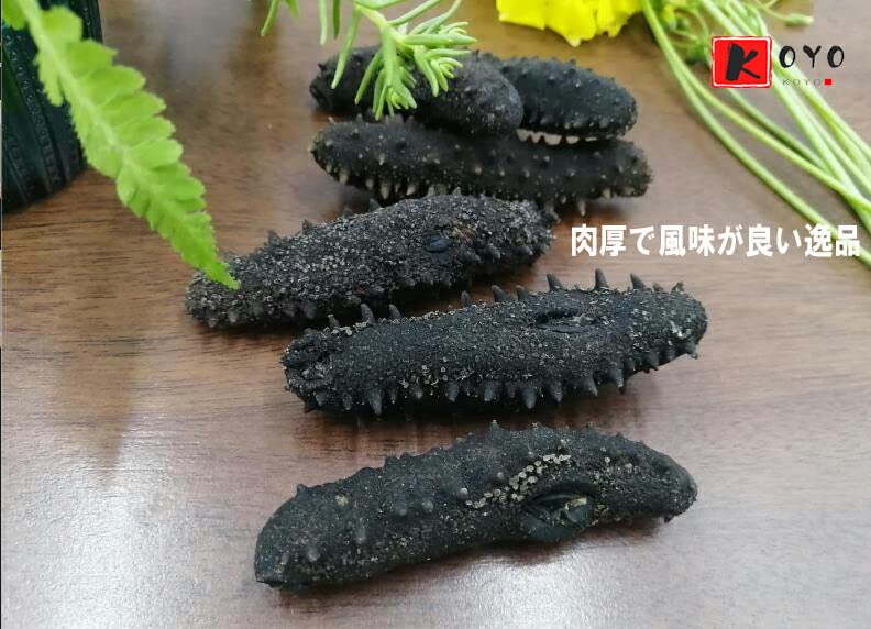 Amazon.co.jp: 【関西産】A級品乾燥なまこ 1KG入 天然ナマコ (L（11g