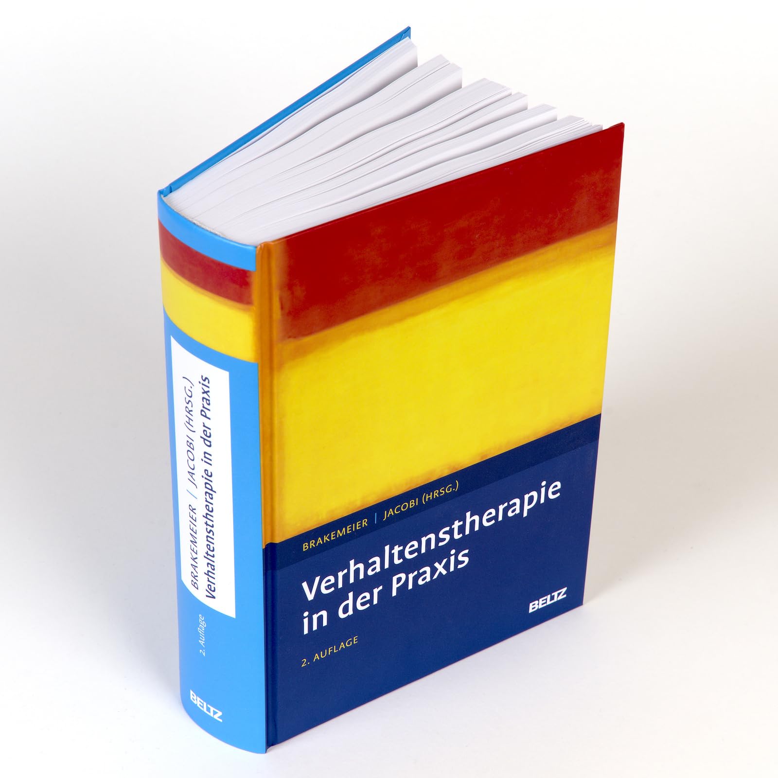 Verhaltenstherapie in der Praxis