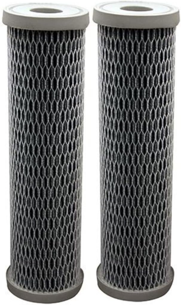 Pentair OMNIFilter TO3 Carbon Water Filter, 10-Inch, Standard Whole House Non-Cellulose Pleated Carbon Sediment and Taste & Odor Replacement Filter Cartridge, 10" x 2.5", 10 Micron, Pack of 2