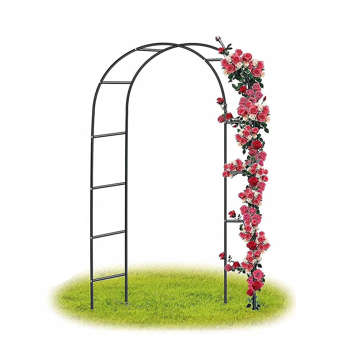 Arche à rosiers en métal anti-affaissement pour soutenir vos plantes