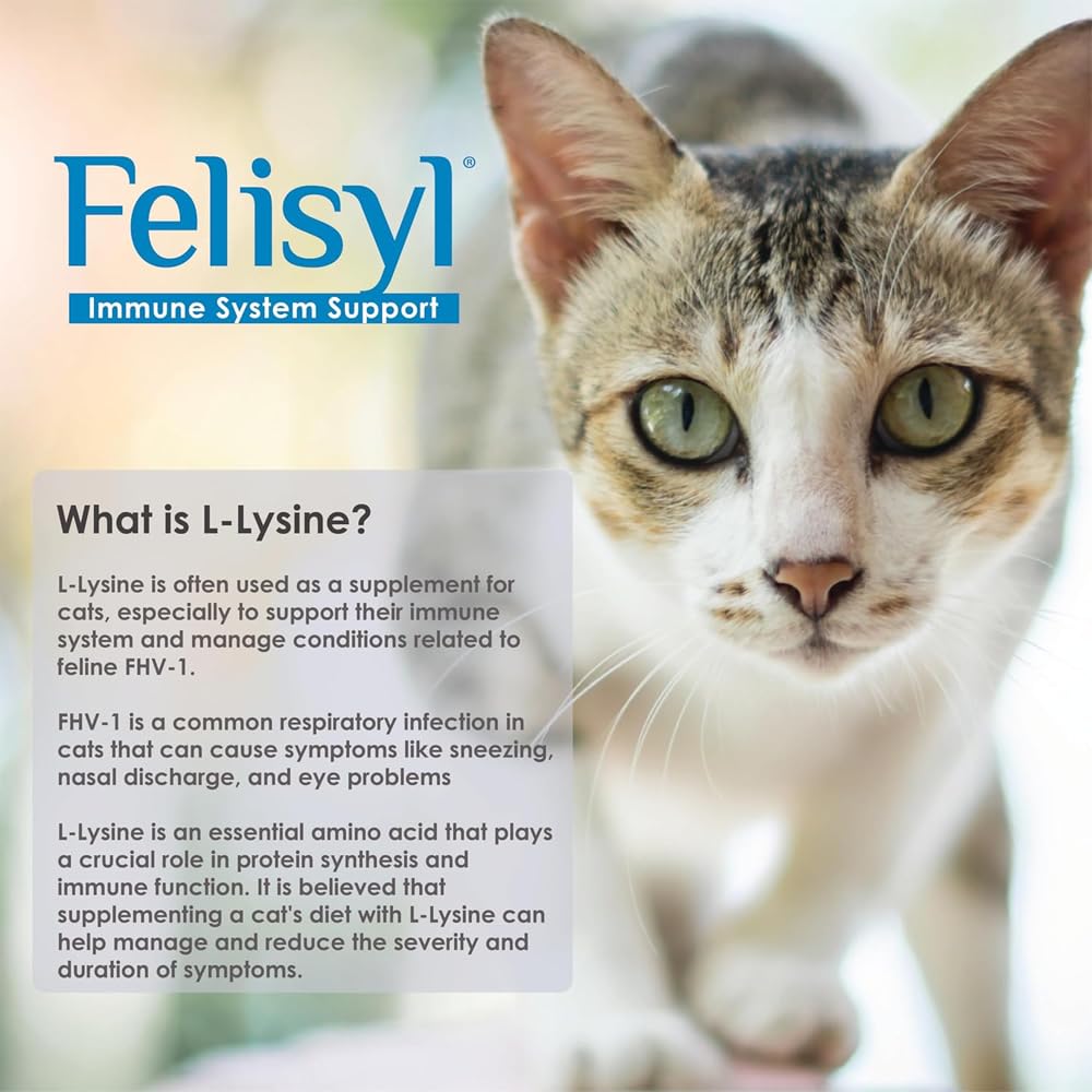 L-Lysine Gel for Cats - Immune System Support - Supplement Support for Healthy Tissue, Respiratory, and Vision - Salmon-Flavored - Made in The USA - 5 oz (6 Pack, Gel (5 oz.)) — Amazon image 2