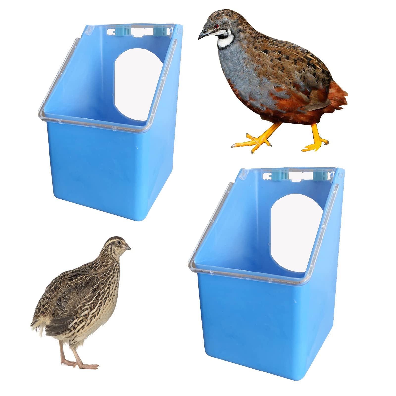 Tauben-Futterstation Mit 2 Löchern | Futterspender & Wasserspender Für Vögel, Wachteln & Hühner