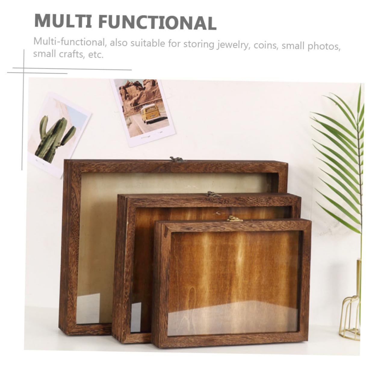 Vitrine pour Spécimens en Bois et Acrylique, Boîte de Présentation Rétro à Grosse Capacité, Cadre Boîte à Ombre Transparent et Anti-humidité pour Collection Style Aléatoire