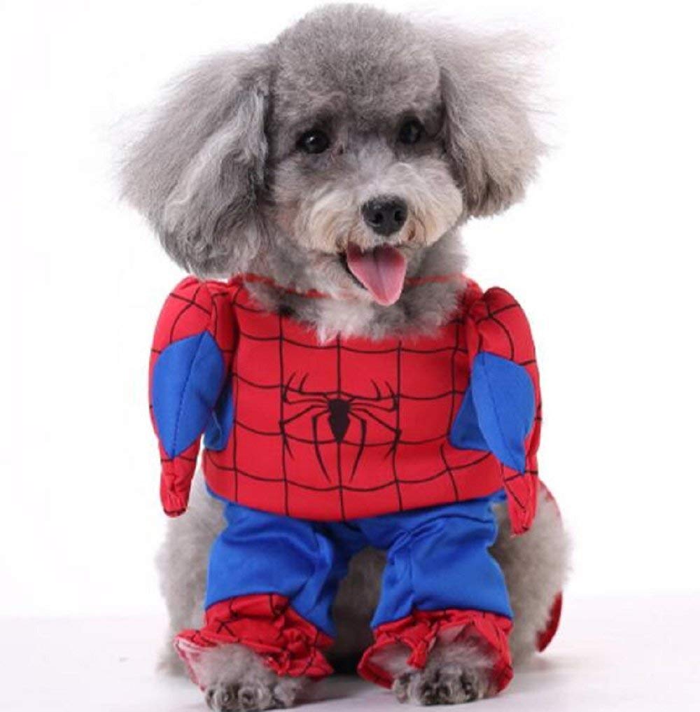 Inception Pro Infinite Disfraz de Spiderman Spiderman - Perro (l)
