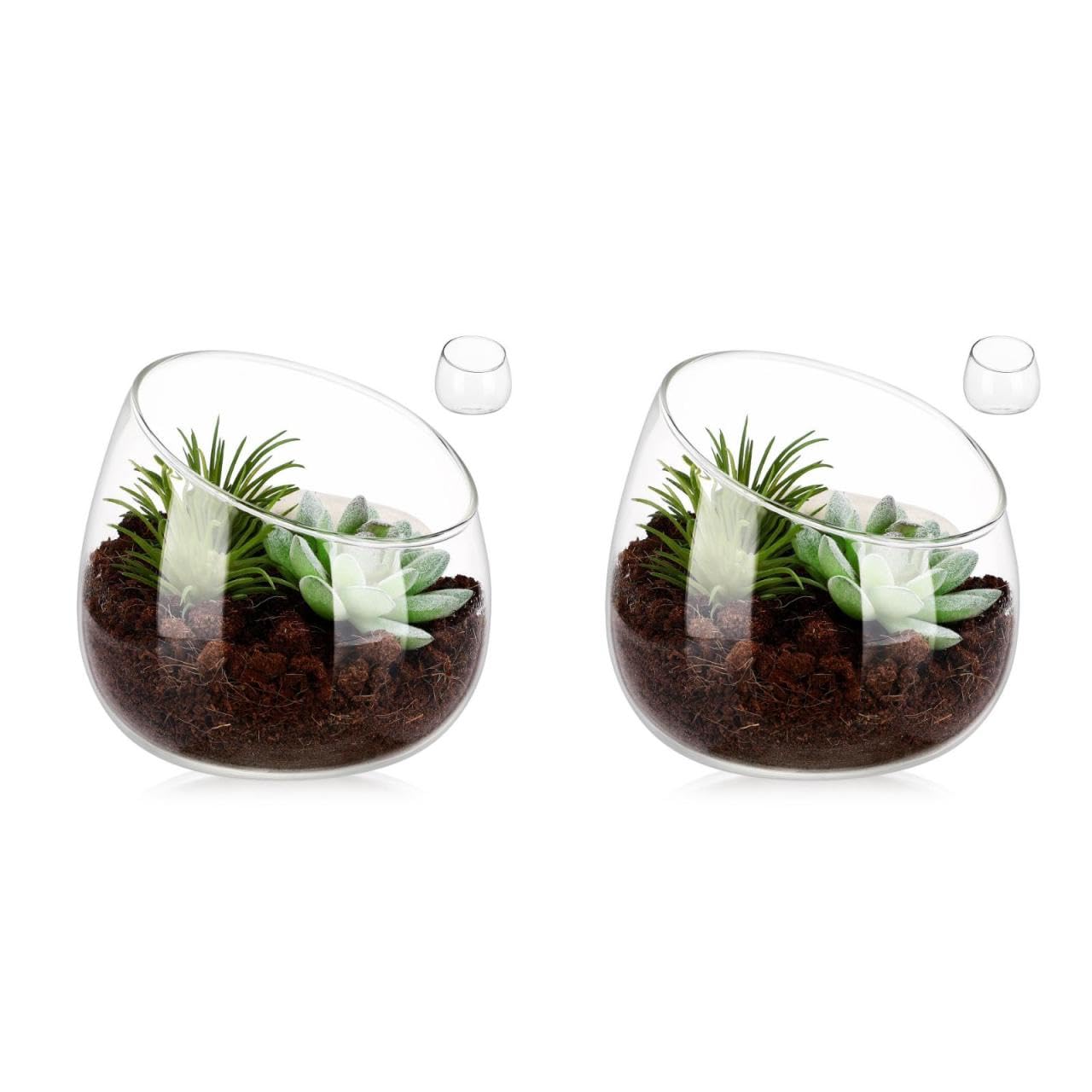 Kisangel Decorative Slanted Glass Bowl Vase Plant Terrarium Cut Bowl for Indoor Succulent Planting Small Plant Pots for Home Centerpieces Gardens