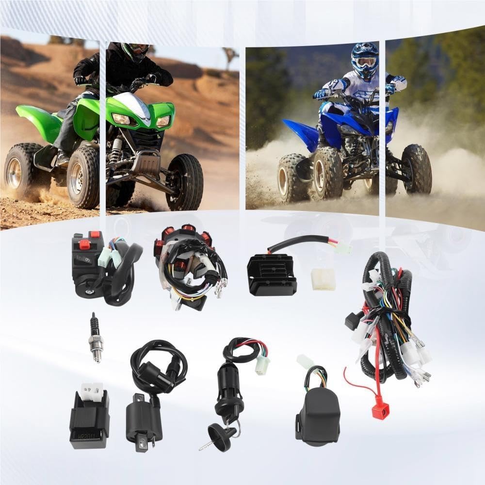 Motor kabelbaum Für QUAD 125-250CC Diesel Motorkabelbaum