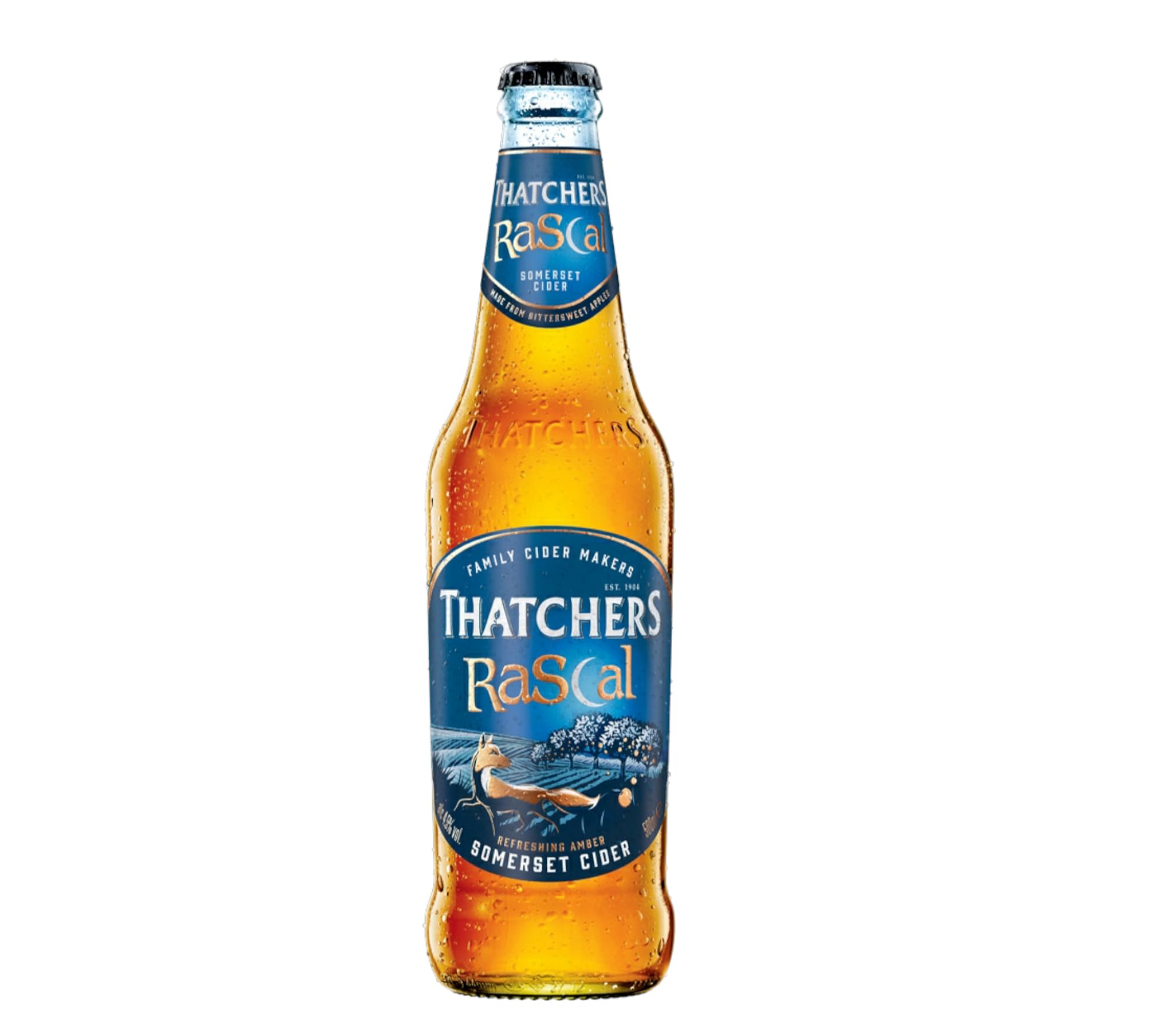 12 x Thatchers Rascal 0,5l- Refreshing Amber Somerset Cider mit 4,5% Vol. - Apfelwein aus Großbritannien