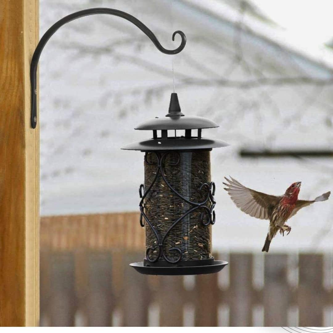 KEDAR Decor Decorative Straight Plant Hanger Metal Wall Hook for Pots, Bird Feeders, Planters, Lanterns Lanterns (Modern) (Pack of 2)-image-39