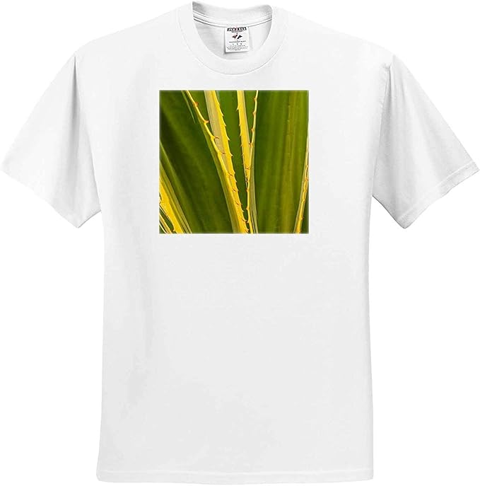 Amazon Co Jp ダニタデリモントサンディエゴカリフォルニアサンディエゴアガベ植物tシャツのクローズアップ ファッション Amazon Co Jp ダニタデリモントサンディエゴカリフォルニアサンディエゴアガベ植物tシャツのクローズアップ ファッション