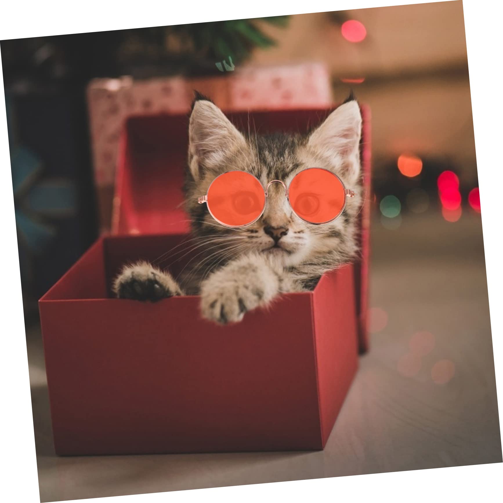 SUPVOX Pet Photo Props 5pcs Dog Cat Sunglasses Stylish Pet Glasses Weatherproof Uv Blocking