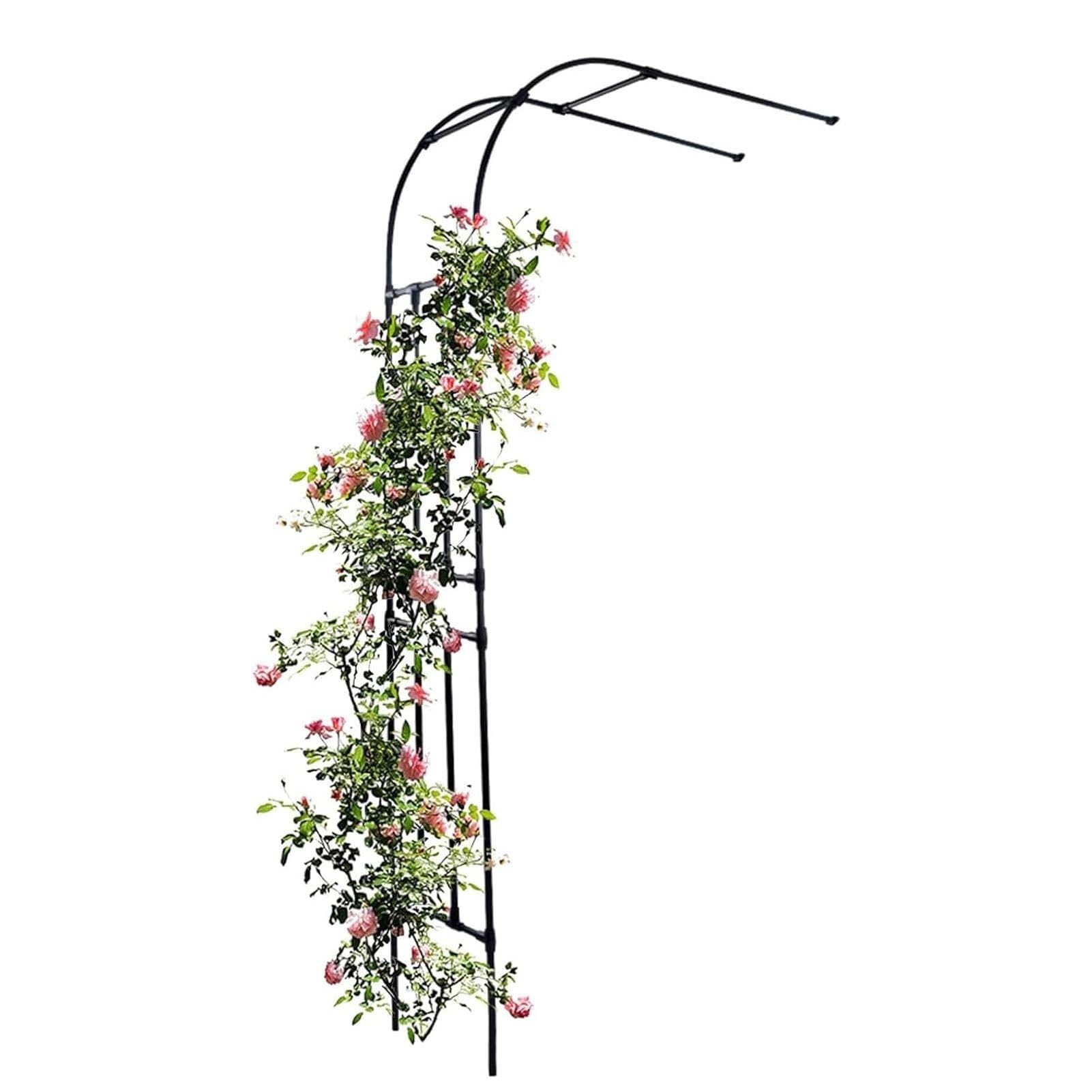 Arche de jardin en métal de 2,4 m au fini noir mat pour une décoration extérieure raffinée