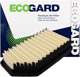 ECOGARD XA6200 Premium Engine Air Filter Fits Kia Soul 2.0L 2012-2020, Soul 1.6L 2012-2019, Rio 1.6L 2012-2017 | Hyundai Accent 1.6L 2012-2017, Veloster 1.6L 2012-2017