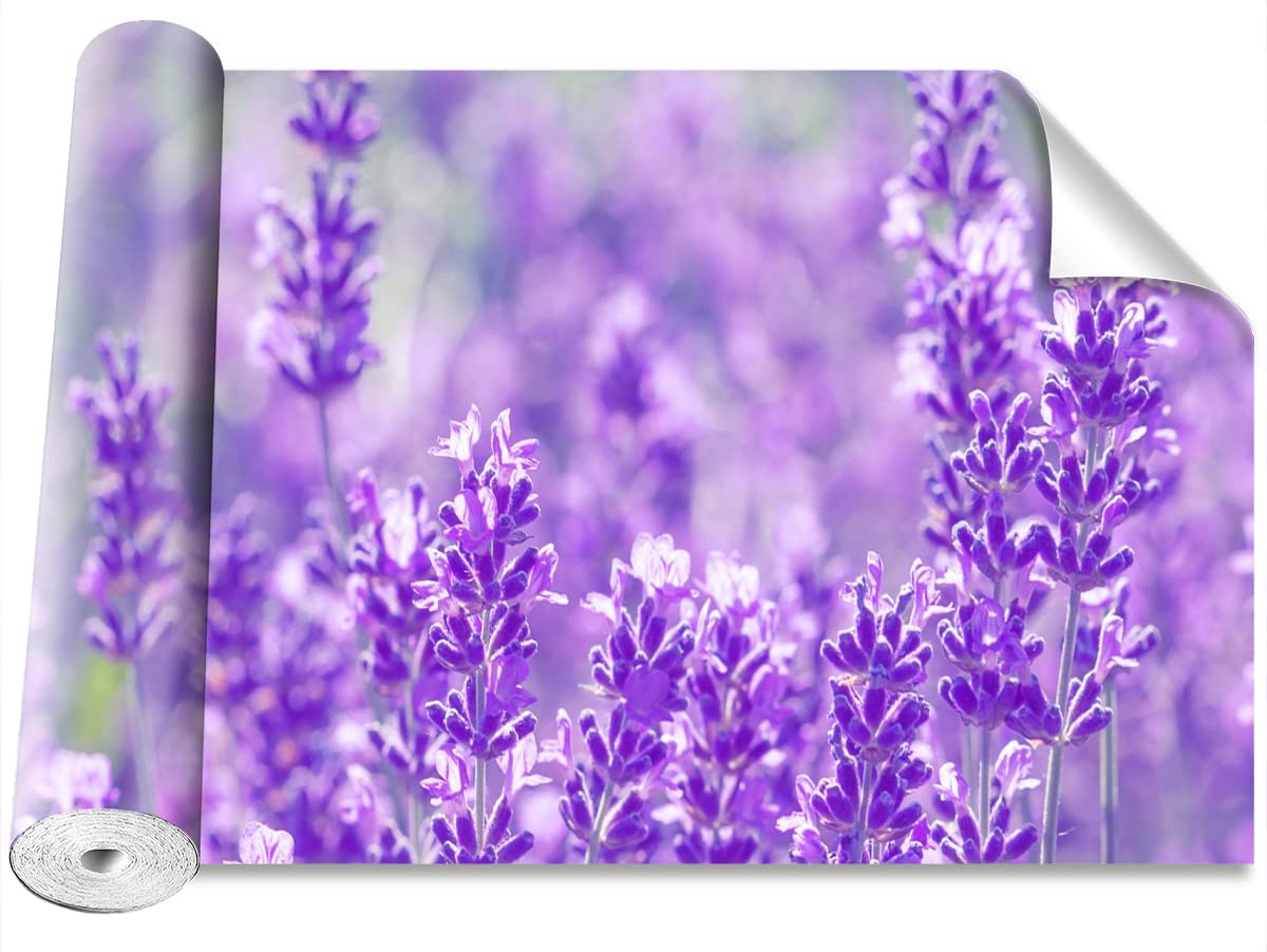 Papier Peint Décoration Murale Lavande Violette pour Salon Moderne Tulup