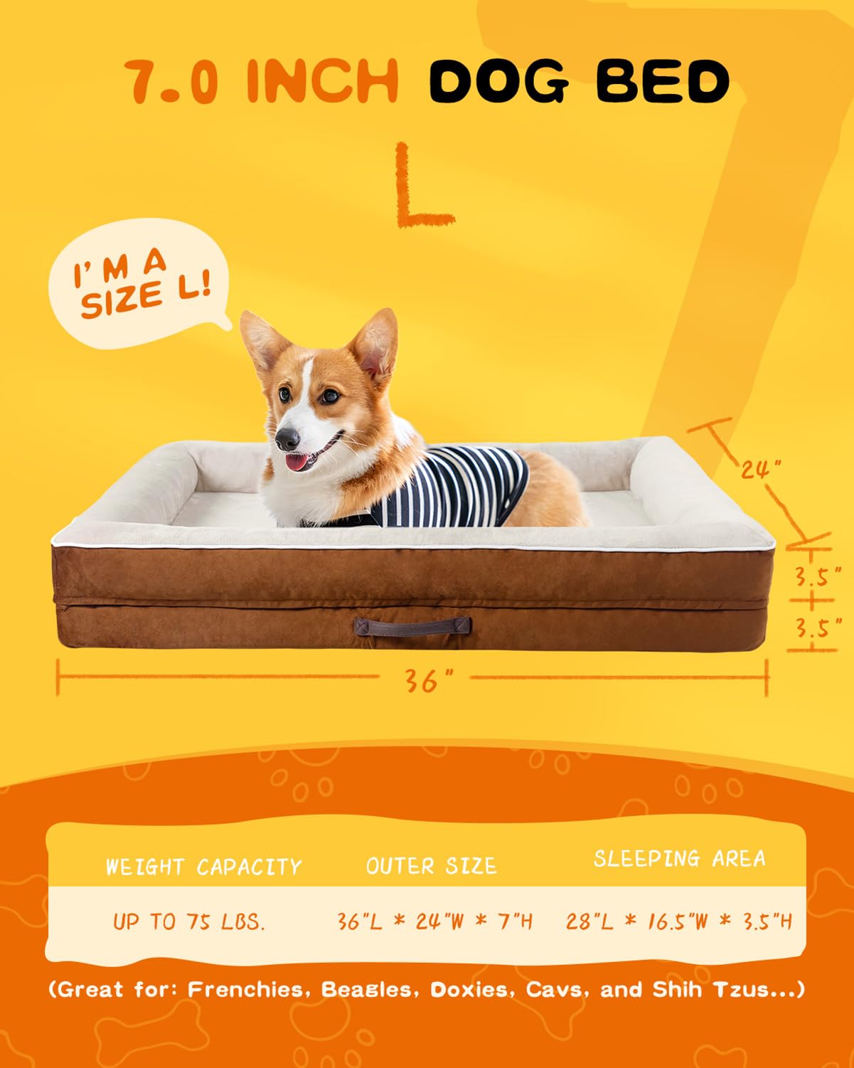 View 4