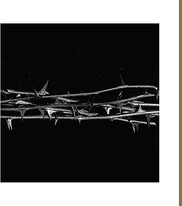 De Doorn [Disco de Vinil] por Amenra — capa do álbum