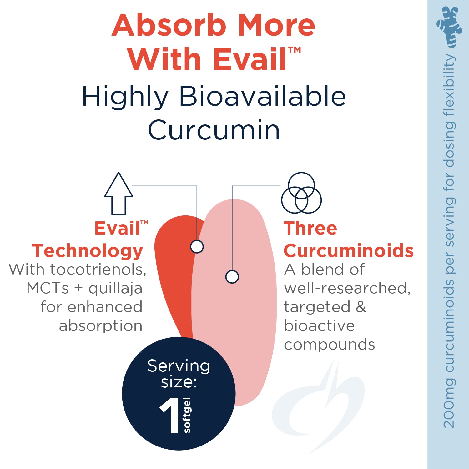 Designs for Health Curcum-Evail 400 - Bioavailable Turmeric Curcumin Supplements - Evail Emulsification Technology - Curcumin C3 Complex with Turmeric Oil + Vitamin E, Non-GMO (60 Softgels)
