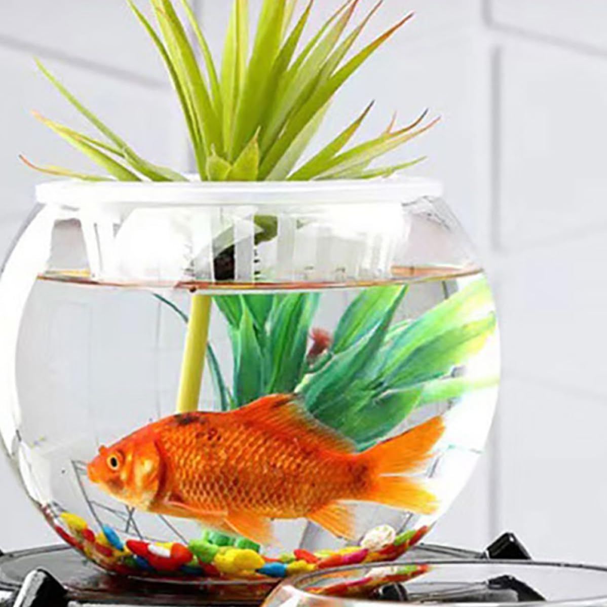 Glass Fish Bowl Desktop Aquarium for Small Fish and Hydroponic Plants, Spherical Suitable for Office and Living Room Decor