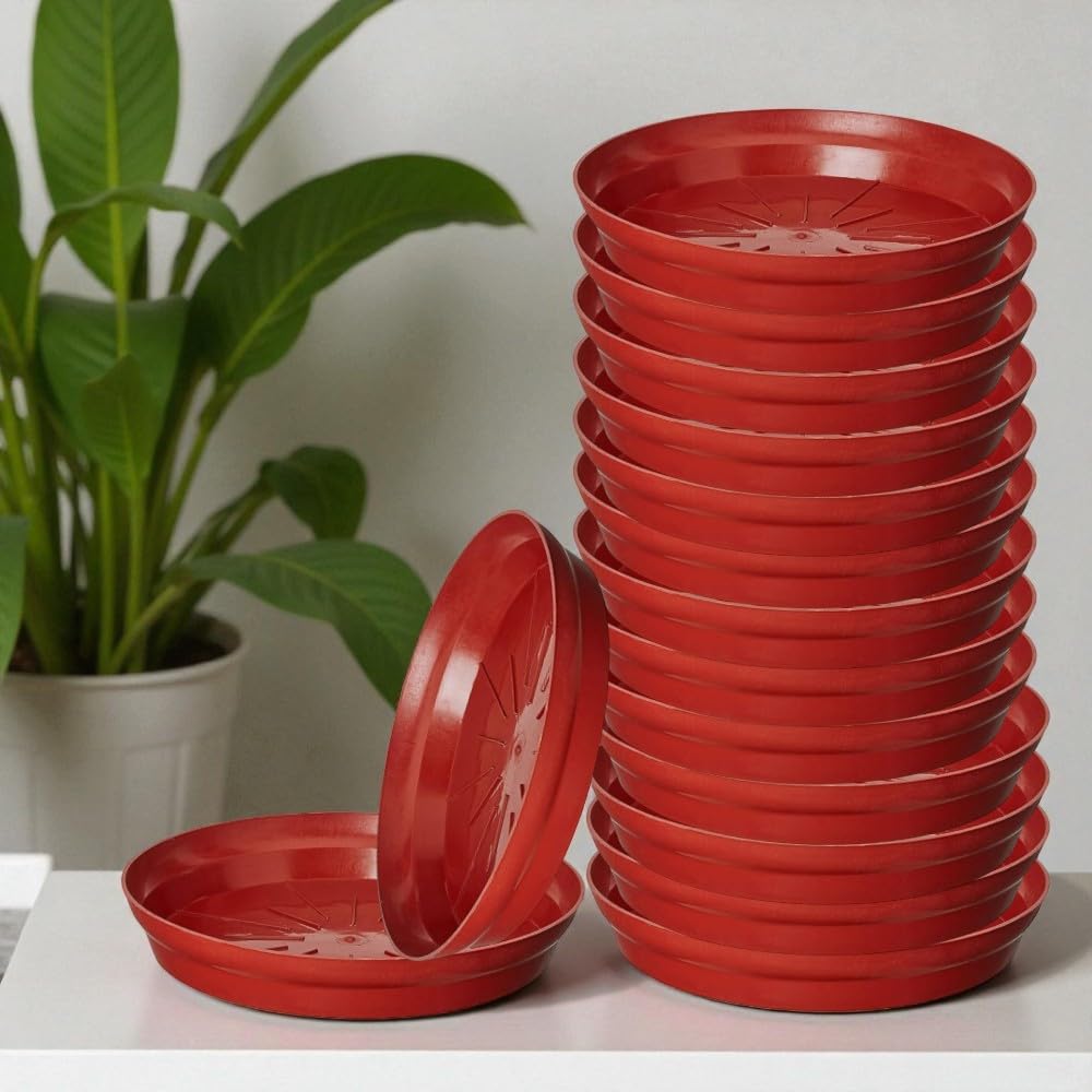 BHAJANLAL GREENERY Plastic Bottom Tray Saucer, Plate 8" Suitable for 10 inch, 12 inch, Round Pot, Terracotta Color Set of 15 Pieces-image-24
