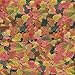 Tetra 16155 Min Large Tropical Flakes For Top/Mid Feeders, 5.65-Ounce