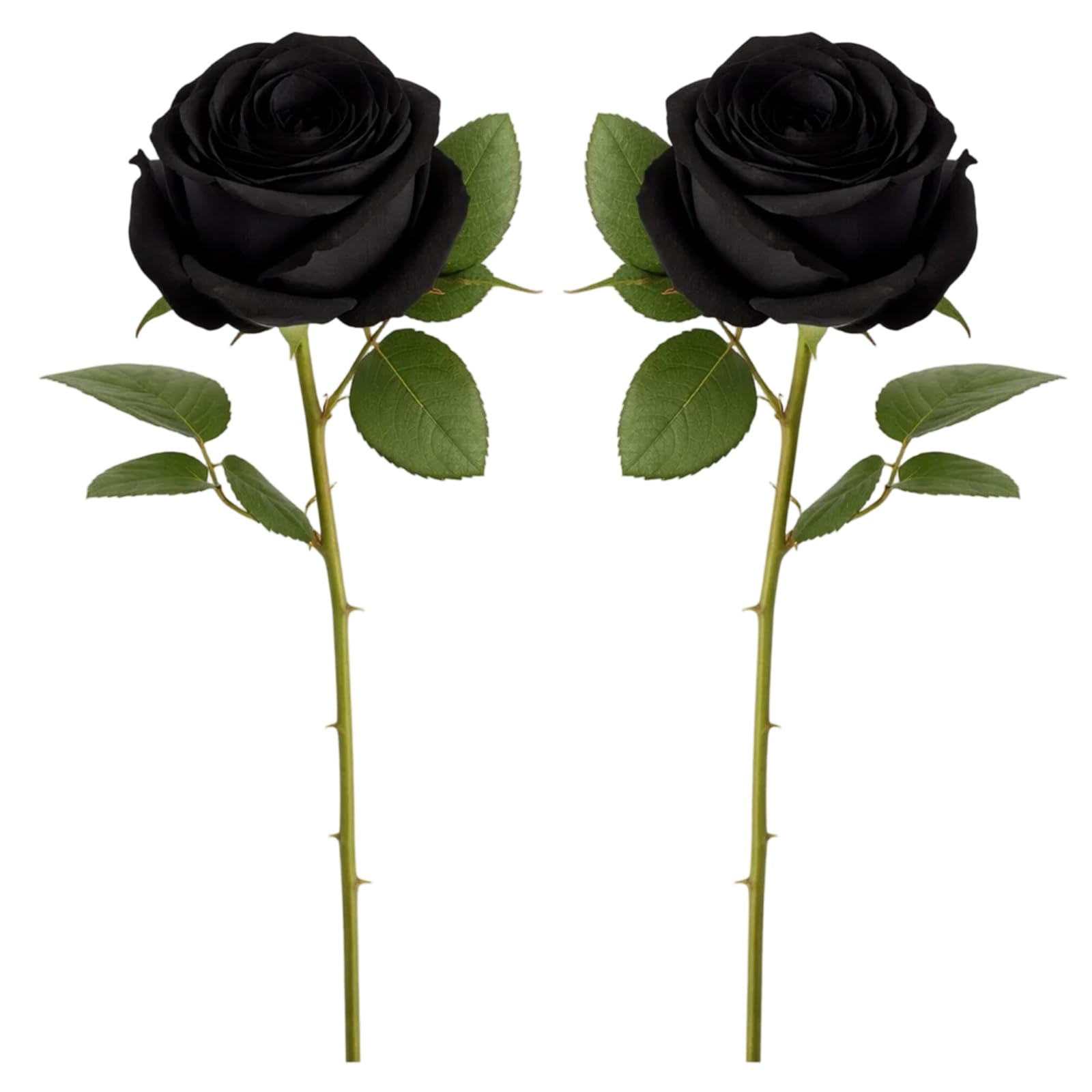 QiiWuic 2Pcs Black Roses, Artificial Black Roses for Home Decor, Velvet Black Rose Arrangement, Long Lasting Fake Roses for Centerpieces and Vase Displays