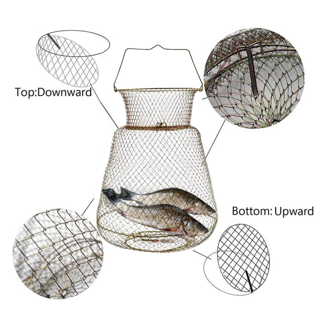 Cesto di Granchio di Pesce in Filo, Cesto di Granchio di Pesce Metallico Pieghevole Portatile da 38 cm a Aragosta di Pesca in Metallo con Impugnatura, pentola per Pesca in Acciaio