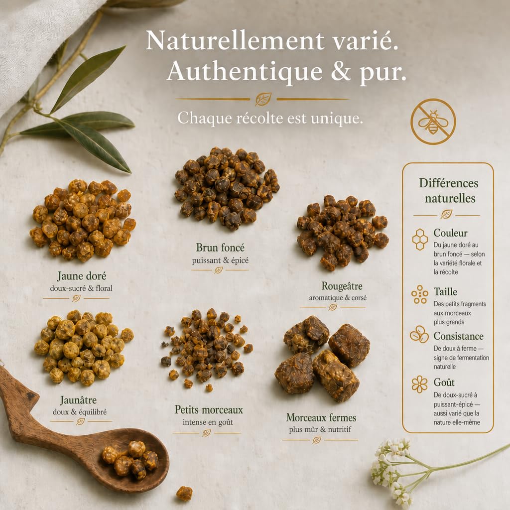 2nd1 Pain d'abeille Perga, Pollen Fermenté par Apiculteur en Lettonie, 250g | Source de vitamines, minéraux et acides aminés. Goût prononcé, légèrement amer – idéal dans muesli ou yaourt, pas seul.