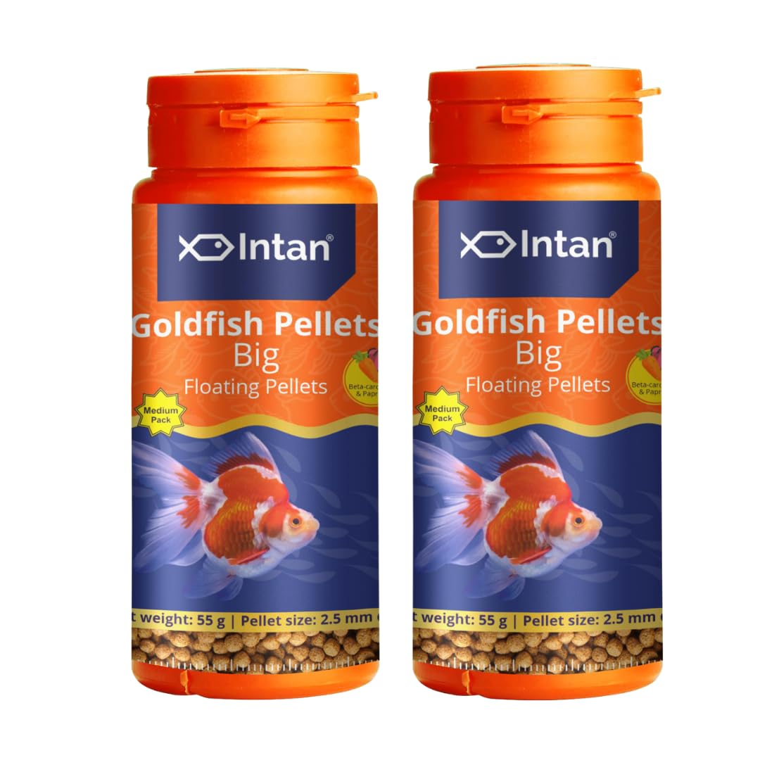 Aquatic Intan Goldfish Pellets for Fish | Aquarium Fish Food for All Life Stages Fishes | Daily Nutrition Fish Feed for Growth | Big Floating Pellet 55 Gm Each, 2.5 mm Dia, Pack of 2 (B0CS9S9PJ7) Amazon Price History, Amazon Price Tracker