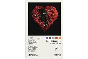 Superache Album Poster Aesthetic Canvas Poster