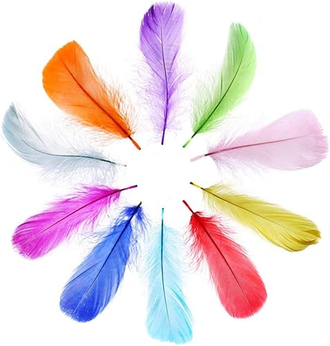 DECORA 300 plumas coloridas de la naturaleza para manualidades, joyería, boda, ropa, decoración del hogar, fiesta, 10 colores