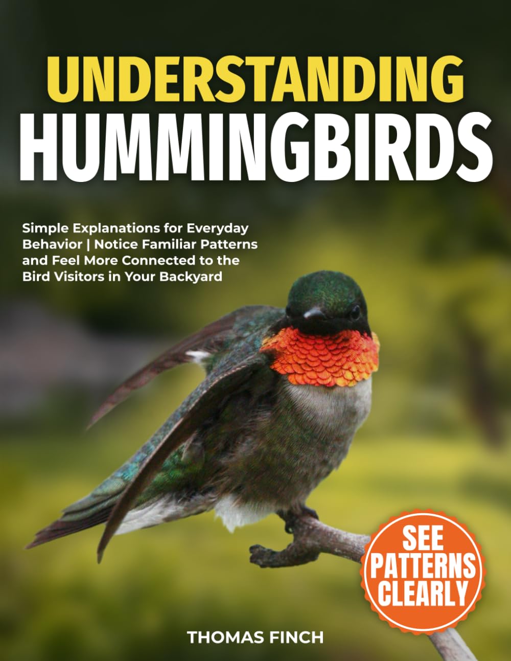 Understanding Hummingbirds: Simple Explanations for Everyday Behavior | Notice Familiar Patterns and Feel More Connected to the Bird Visitors in Your Backyard