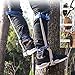 Loghot Non-Slip Climbing Tree Spikes/Climbing Trees Tool, for Hunting Observation, Picking Fruit, High Altitude Logging(1 Pair)
