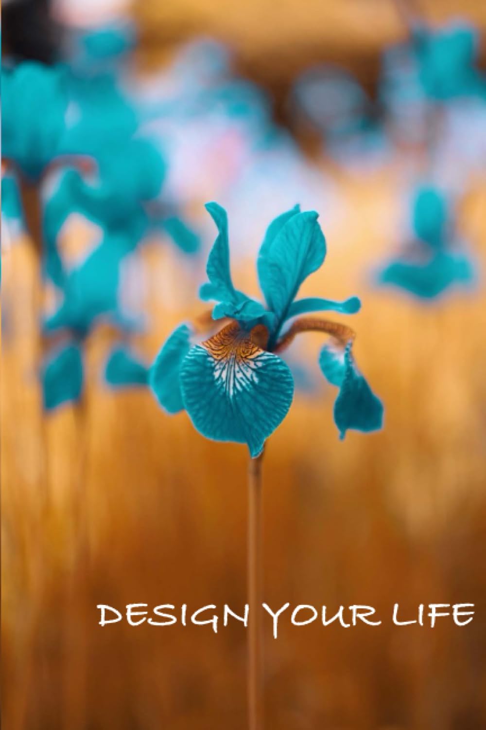 Design your LIFE: Planner