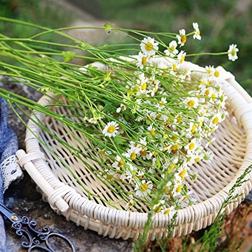 AHANDMAKER Basket Weaving Cane, 250g/Roll 4mm Wicker Material Rattan Reed Webbing for Chair Repair and Wicker Weaving DIY Craft Furniture Making Supplies Home Gardening Decor