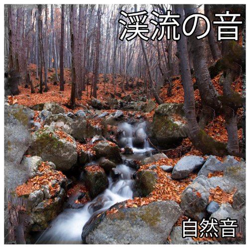 渓流の音